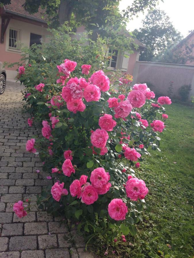 Rose Garden Studio Giverny Extérieur photo